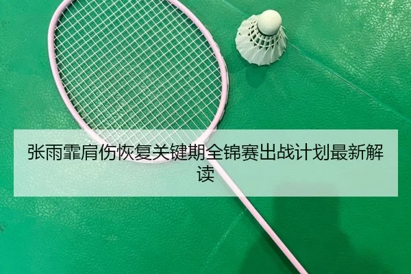 张雨霏肩伤恢复关键期全锦赛出战计划最新解读